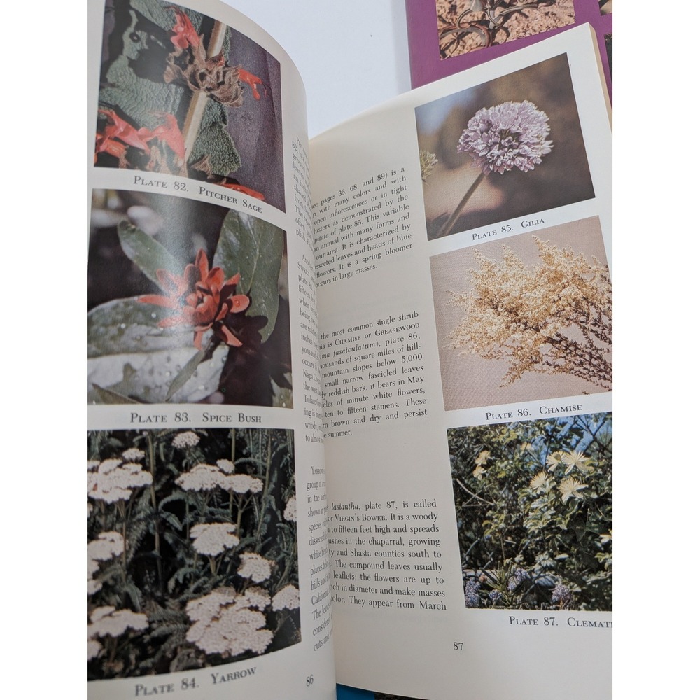Philip A Munz California Wildflower Books Set Desert Mountain Spring 3 Volumes - Picture 8 of 8